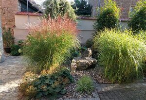 Ferienwohnung - Zimmervermietung Ringelmann – Ferienwohnung 40qm mit Terrasse