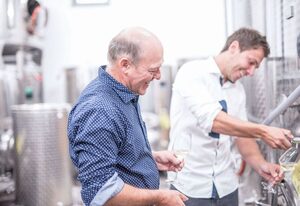 Weingut Kernwein – Einzelzimmer (23 qm) mit Frühstück