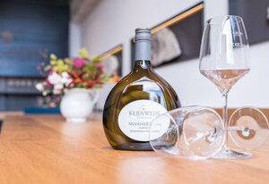 Weingut Kernwein – Einzelzimmer (23 qm) mit Frühstück