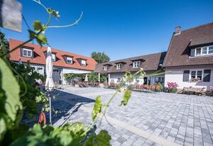 Weingut Kernwein – Einzelzimmer (23 qm) mit Frühstück