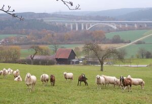 Müller's Ferienwohnungen – Ferienwohnung Thüringer Waldblick, 84 qm, ruhige Lage am Ortsrand