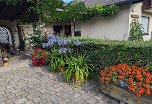 Müller's Ferienwohnungen – Ferienwohnung Thüringer Waldblick, 84 qm, ruhige Lage am Ortsrand