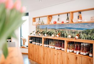 Winzerhof & Weincafe Gümpelein – Ferienwohnung 75qm mit Sauna