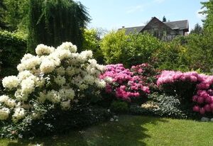 Privathaus Wehle – Ferienwohnung, 1 Schlafraum