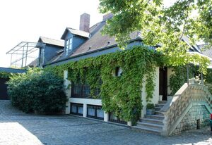 Landhaus Schmitt – Ferienwohnung Libelle mit kleinem romantischen Balkon, mit Blick in die Weinlaube