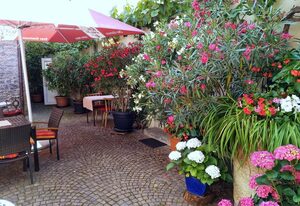 Ferienwohnung Häckerstub'n Zang – Ferienwohnung 1 mit Küchenzeile