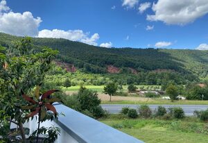 Ferienwohnung Weingut Sturm