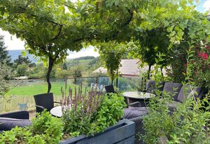 Ferienwohnung Weingut Sturm