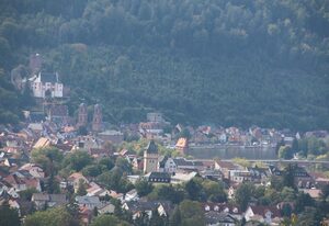 Ferienwohnung "Auf Schäfers Spuren" – Ferienwohnung mit Kaminofen und Balkon
