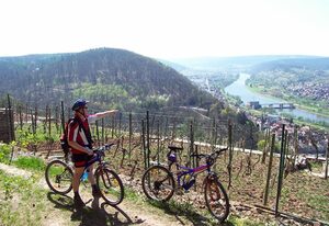 Ferienwohnung "Auf Schäfers Spuren" – Ferienwohnung mit Kaminofen und Balkon