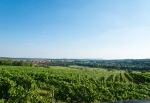 Weingut - Ferienwohnung Rudloff – Escherndorfer Lump