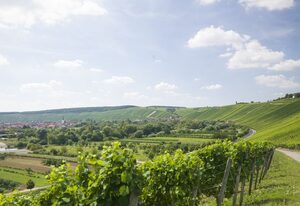 Weingut - Ferienwohnung Rudloff – Escherndorfer Lump