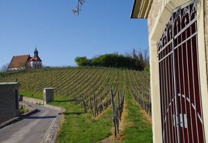 Weingut & Ferienwohnungen  Kirch – Fewo Silvaner