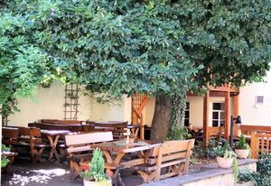 Brauerei-Gasthof Pfister – Einzelzimmer ohne Balkon