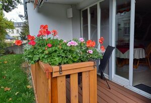 Ferienwohnung Angelo – Ferienwohnung, 1 Schlafraum