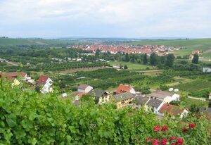 Ferien- und Winzerhof Ute Braun – Ferienwohnung Fridolin