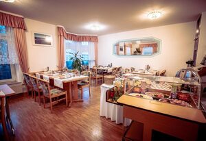 Hotel Heinz – Einzelzimmer, Dusche, WC