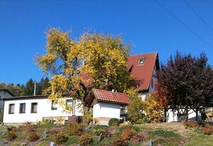 Ferienwohnung Auf der Sonnenseite – Ferienwohnung mit 2 Schlafräumen und Kamin