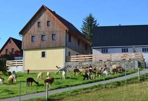Ferienhaus Alpaka Glück
