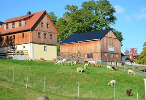 Ferienhaus Alpaka Glück