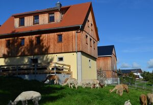 Ferienhaus Alpaka Glück