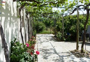 Weingut & Pension –  Birgit Meusert – Gästezimmer - Weinbau & Pension