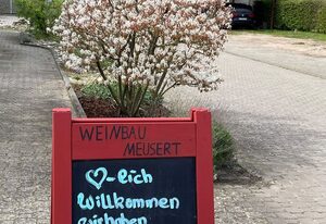 Weingut & Pension –  Birgit Meusert – Gästezimmer - Weinbau & Pension