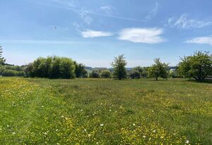 Ferienwohnung Wölfel – Ferienwohnung Liebenau