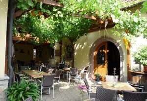 Braun Weingut und Hotel – Helles Doppelzimmer mit WLAN