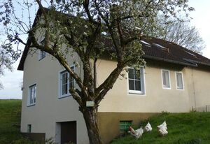 Weisses Huhn von Moschendorf