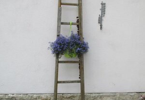 Haus Fink – Ferienwohnung Volkach - immer willkommen