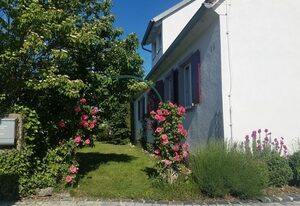 Haus Fink – Ferienwohnung Volkach - immer willkommen