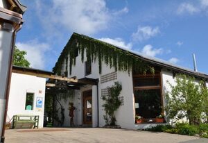 GenussHof Pingold – Lindentraum