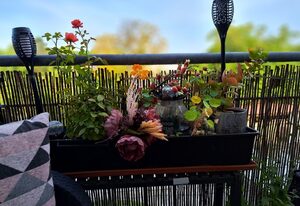 Feriendomizil Winter – Ferienwohnung Amelie mit sonnigem Balkon