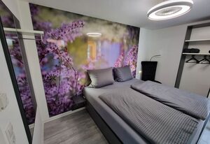 Feriendomizil Apartmentschreck – Apartment Kunterbunt