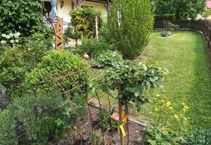 Ferienwohnung Schüpferling