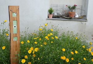 Ferienwohnung Lindenstraße – Ferienwohnung 1