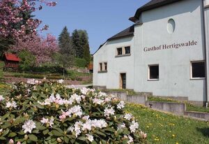 Gasthof Hertigswalde – Appartement: 2 Schlafräume