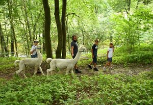Alpakas im Chemnitztal – Große Ferienwohnung