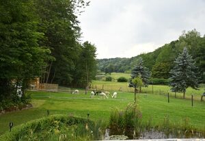 Alpakas im Chemnitztal – Große Ferienwohnung