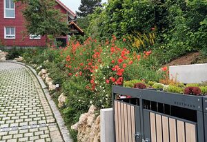 Ferienhaus Reifenberg