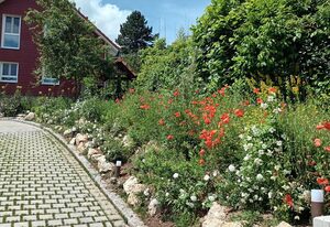 Ferienhaus Reifenberg