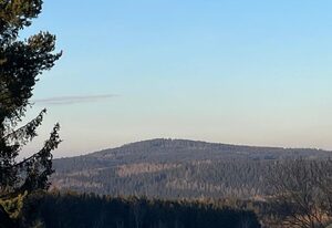 Ferienwohnung Goldhahn – KÜKEN