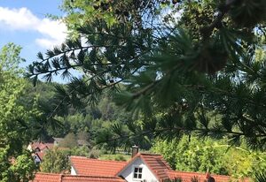 Villa Frauenstein – Ferienwohnung 4