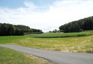 Ferienwohnung Distler