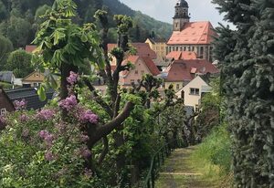 Ferienwohnung Festungsblick – Ferienwohnung, 1 Schlafraum