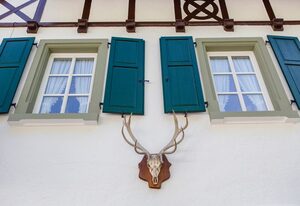 Gasthof Bischofsmühle – Modernes Einzelzimmer (20qm)