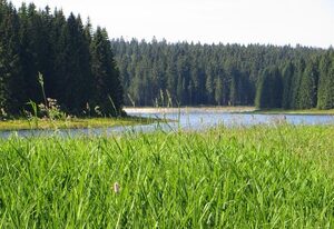 Talblick - Pension & FeWo´s – Appartement