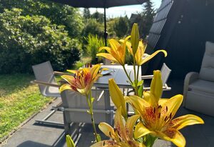 Ferienhaus Auszeit in Lichtenberg am See mit Kamin, Sauna – komfortables Ferienhaus in Lichtenberg max. 4 Personen
