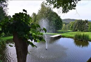 Gästehaus am Burgberg – Ferienhaus Tanne (40qm) mit Terrasse